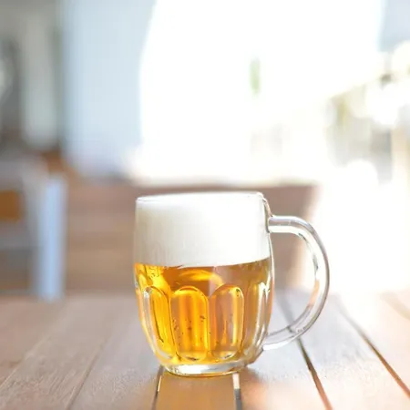 Otel Laguna & Restaurant