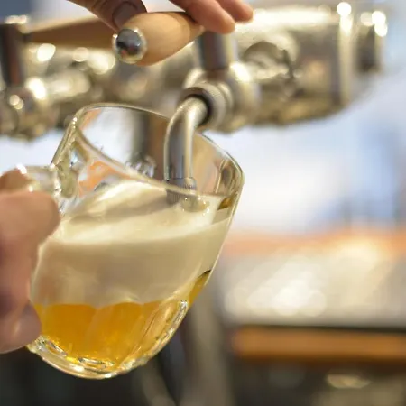 Laguna & Restaurant 3* Ceske Budejovice